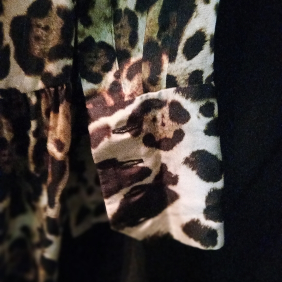 Alexis Leopard Print Dress - Picture 9 of 12